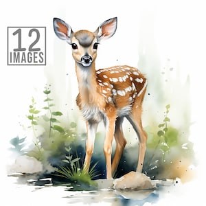 Fawns Clipart, 12 High Quality JPGs, Watercolor Clipart, Scrapbook, Junk Journal, Watercolor Animals, Fawn Clipart, Baby Fawn, Deer Clipart