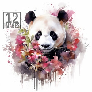Panda Bear Clipart, 12 High Quality JPGs , Watercolor Clipart, Clipart Animals, Card Making, Panda Clipart, Panda Clip art, Floral Clipart