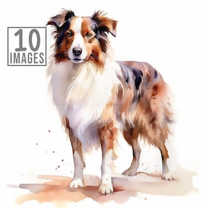 Australian Shepherd Clipart, 10 High Quality JPGs, Watercolor Clipart, Clip Art Bundle , Clip Art Watercolor, Dog Clipart, Clipart Dogs