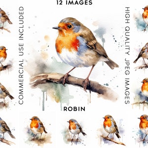 Robin Clipart, 12 High Quality JPGs, Watercolor Clipart, Digital Download, Clip Art Watercolor, Bird Clipart, Clipart Bird, Birds Clipart