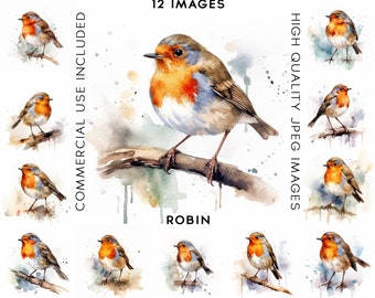 Robin Clipart, 12 High Quality JPGs, Watercolor Clipart, Digital Download, Clip Art Watercolor, Bird Clipart, Clipart Bird, Birds Clipart