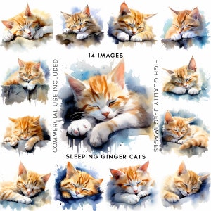 Sleeping Ginger Cat Clipart Watercolor Clipart Digital Art  Card Making Cats Clipart Kittens Clipart Kitten Clipart 12 High Quality JPGs