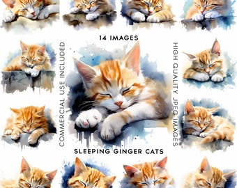 Sleeping Ginger Cat Clipart Watercolor Clipart Digital Art  Card Making Cats Clipart Kittens Clipart Kitten Clipart 12 High Quality JPGs