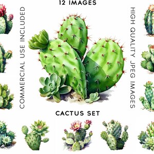 Cactus Clipart, 10 High Quality JPGs, Watercolor Clip art, Card Making, Clipart Bundle, Cactus Clipart, Cactus svg, Cactus Clip art