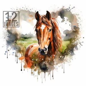 Horse Clipart Heart Illustration Clipart Watercolor Horse Clip Art Commercial Use Clipart Pack Animals Love Diy Clipart Bundle 12 JPGs