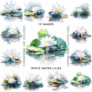 Waterlily Clipart Waterlilies Clipart Watercolor Flowers Clipart Flowers Clip Art Wall Art Lake Clipart Card Making Mixed Media 12 Jpgs