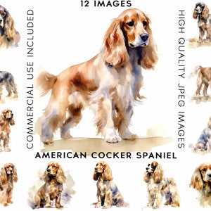 American Cocker Spaniel Clipart, 12 High Quality JPGs, Watercolor Clipart, Clip Art Bundle , Clip Art Watercolor, Dog Clipart, Dogs Clipart