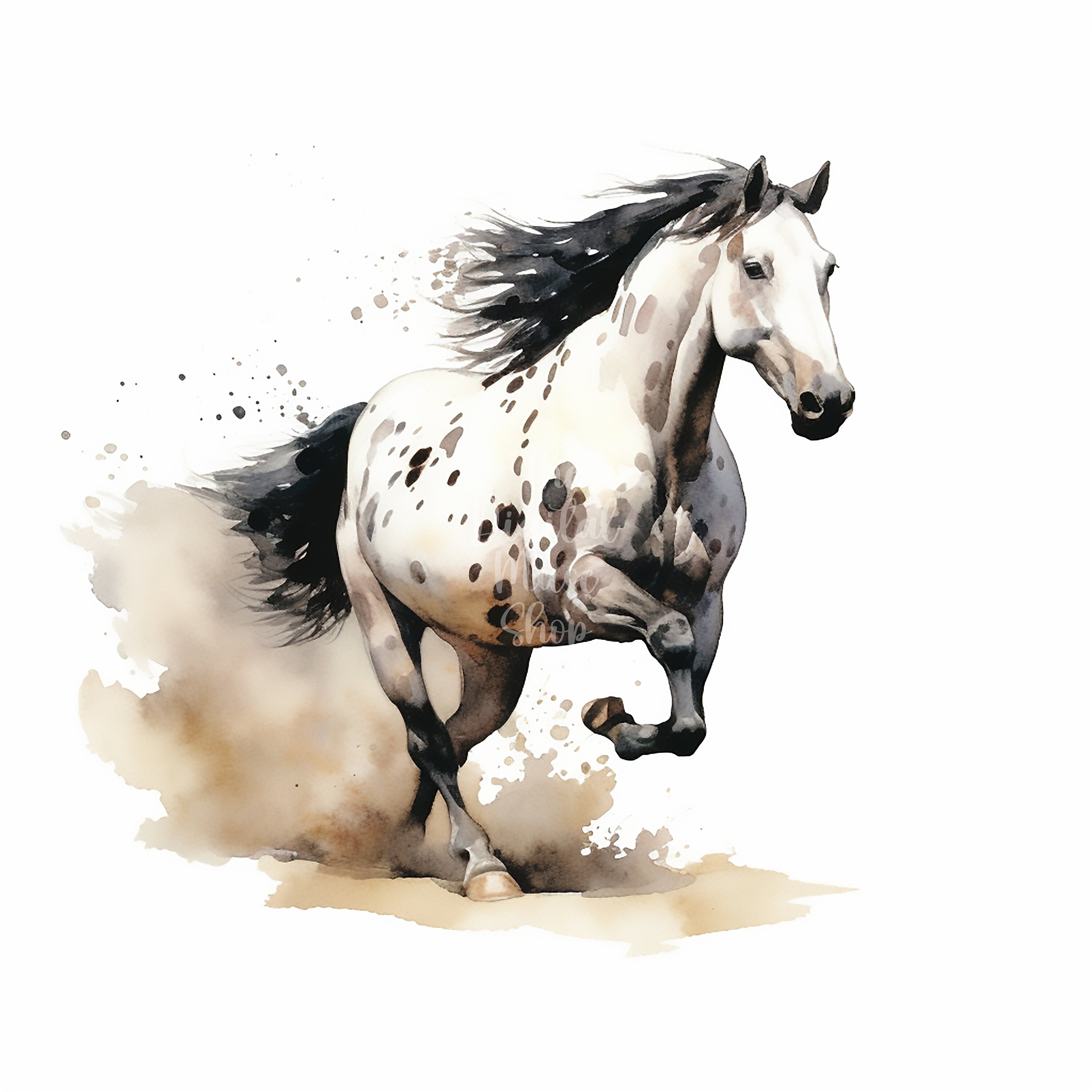 Piebald Horses Jumping Clipart, 12 High Quality Jpgs , Watercolor Clipart, Clipart Pack, Clipart