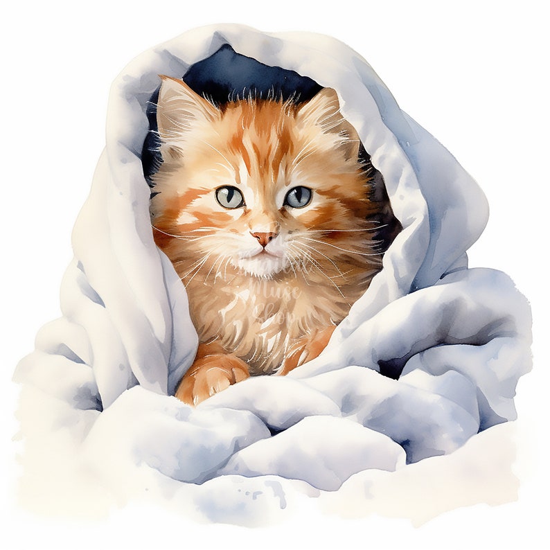 Winter Kitten Clipart 12 High Quality Jpgs Snow Clipart Winter Clipart