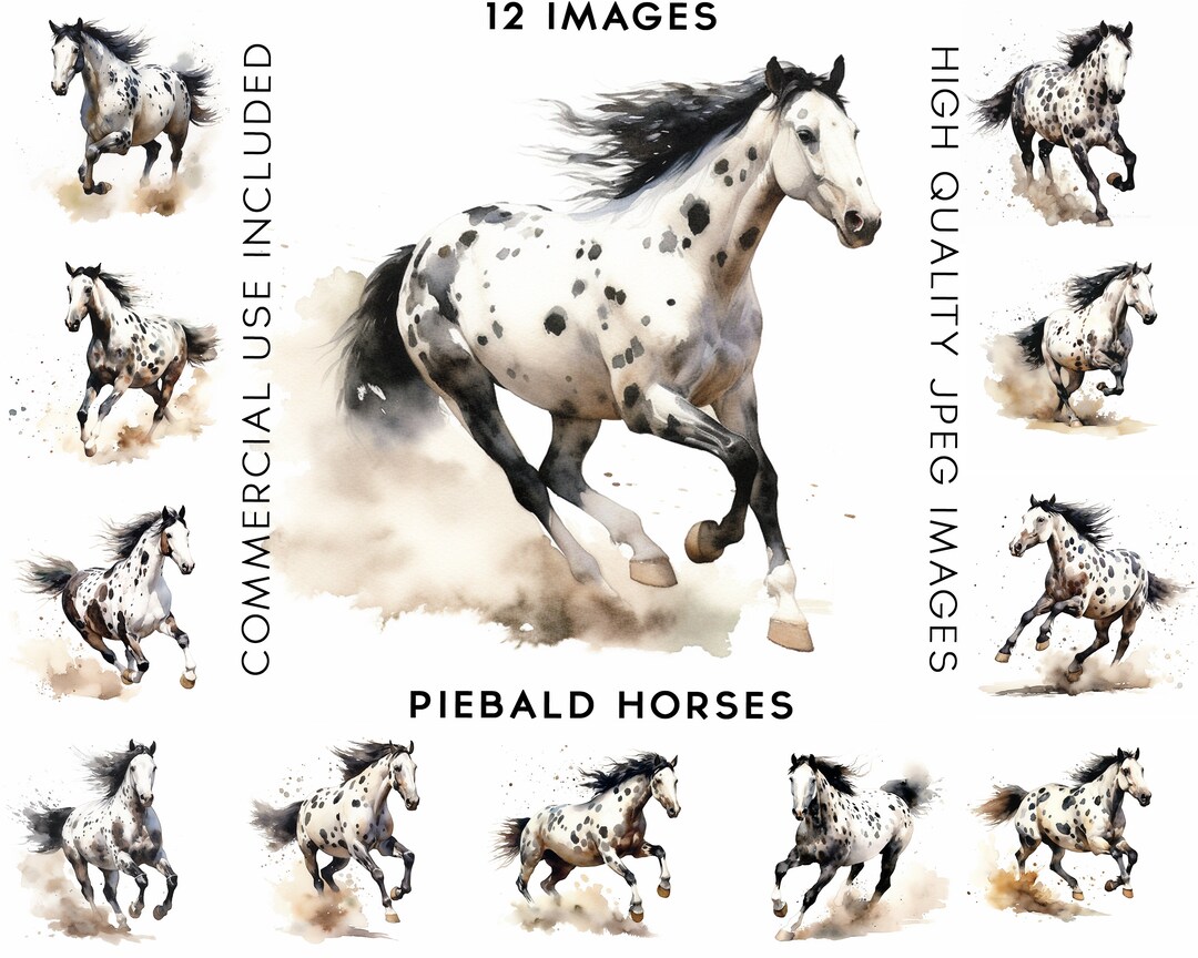 Piebald Horses Jumping Clipart, 12 High Quality Jpgs , Watercolor Clipart, Clipart Pack, Clipart