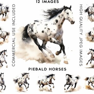 Piebald Horses Jumping Clipart, 12 High Quality JPGs , Watercolor Clipart, Clipart Pack, Clipart Animals, Horse Clipart, Horses Clipart