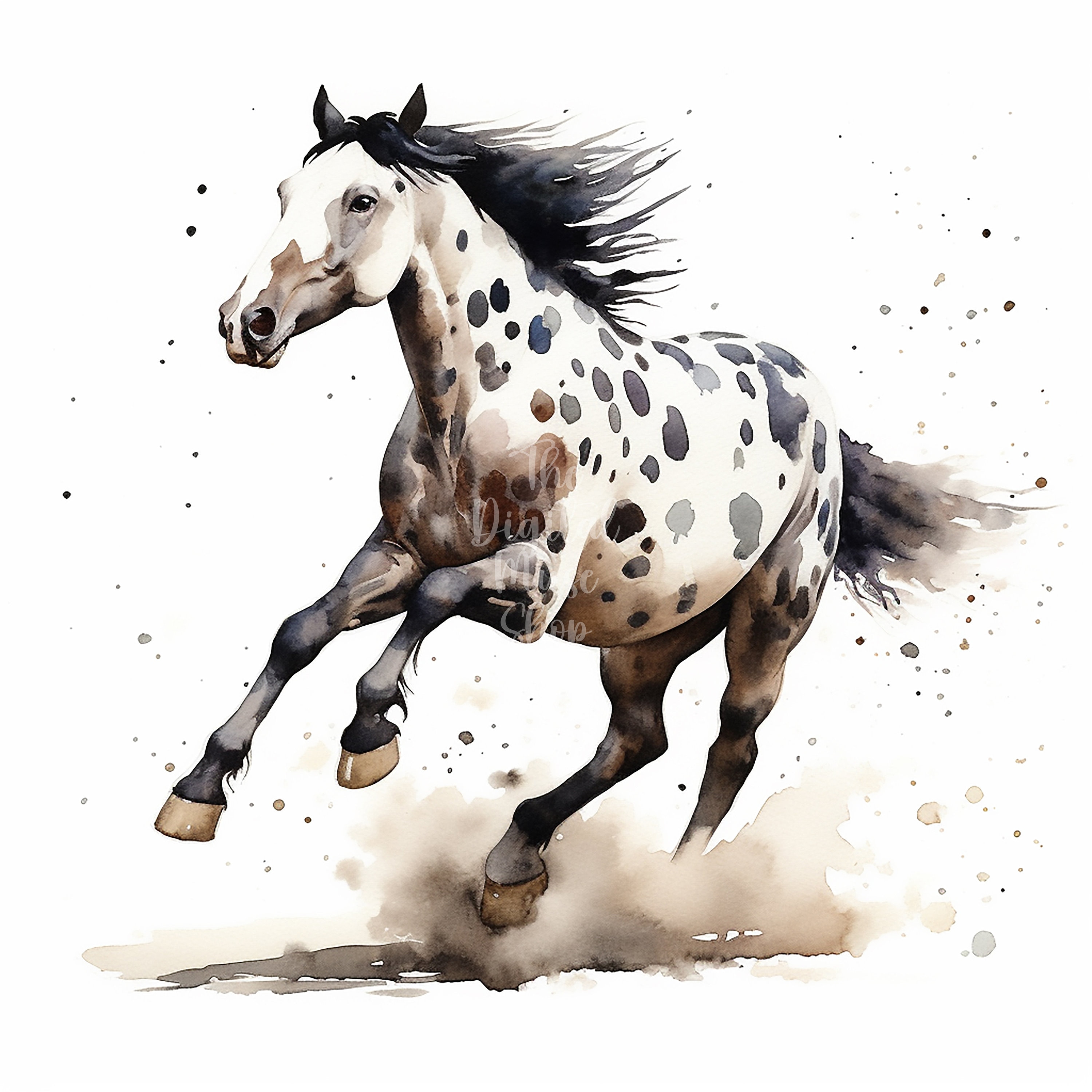 Piebald Horses Jumping Clipart, 12 High Quality Jpgs , Watercolor Clipart, Clipart Pack, Clipart