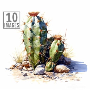 Wild Cactus Clipart, 10 High Quality JPGs, Watercolor Clip art, Card Making, Clipart Bundle, Cactus Clipart, Cactus svg, Cactus Clip art