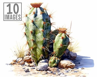 Wild Cactus Clipart, 10 High Quality JPGs, Watercolor Clip art, Card Making, Clipart Bundle, Cactus Clipart, Cactus svg, Cactus Clip art