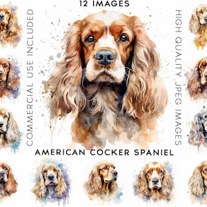 American Cocker Spaniel Clipart, 12 High Quality JPGs, Watercolor Clipart, Clip Art Bundle , Clip Art Watercolor, Dog Clipart, Dogs Clipart