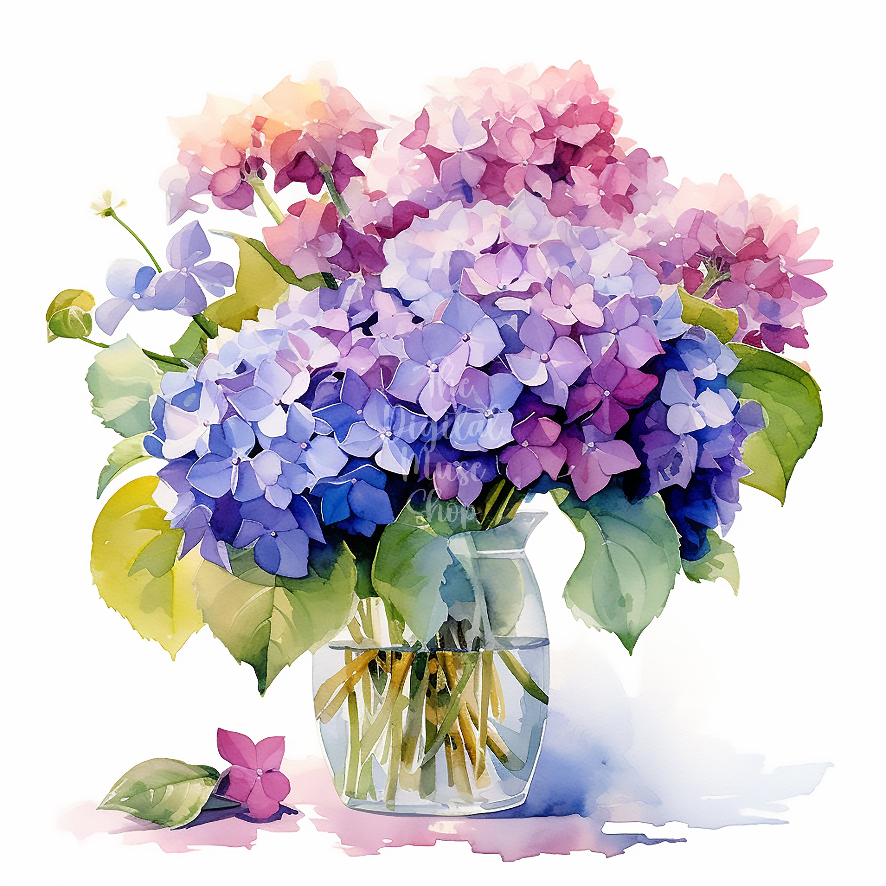 Vase of Flowers Clipart Hydrangea Macrophylla Clipart Watercolor ...