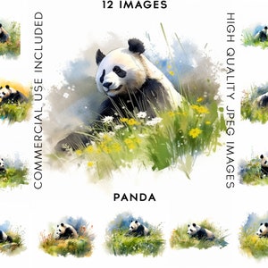 Panda Bear Clipart, 12 High Quality JPGs , Watercolor Clipart, Clipart Animals, Card Making, Panda Clipart, Panda Clip art, Mixed Media
