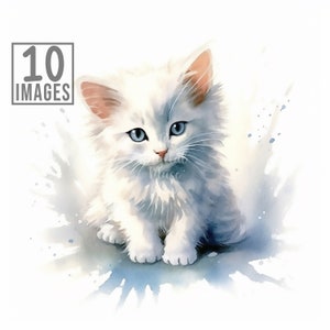Weiße Katze Clipart, 10 hochwertige JPGs, Aquarell Clipart, Digitaler Download, Kartenherstellung, Katzen Clipart, Kätzchen ClipArt, Weiße Katze Kunst