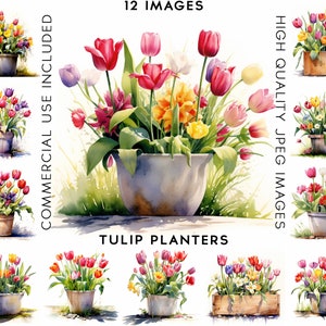 Tulip Planters Clipart, 12 High Quality JPGs , Watercolor Clipart, Flowers Clipart Set, Flowers Clip art, Flowers Clipart Set, Tulip Clipart