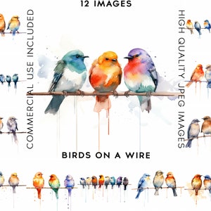 Birds On A Wire Clipart, 12 High Quality JPGs, Watercolor Clipart, Clip Art Watercolor, Bird Clipart, Clipart Bird, Birds Clipart