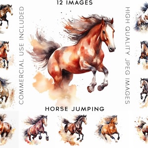 Horses Jumping Clipart, 12 High Quality JPGs , Watercolor Clipart, Clipart Pack, Clipart Set, Clipart Animals, Horse Clipart, Horses Clipart