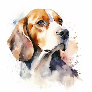 How Often Should You Wash Your Beagle? - We Love Beagles