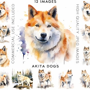 Watercolor Akita Clipart, 12 High Quality JPGs, Watercolor Clipart, Clip Art Bundle , Clip Art Watercolor, Dog Clipart, Dogs Clipart