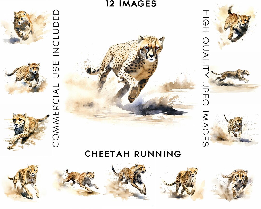 Cheetah Running Clipart, 12 High Quality Jpgs , Watercolor Clipart ...
