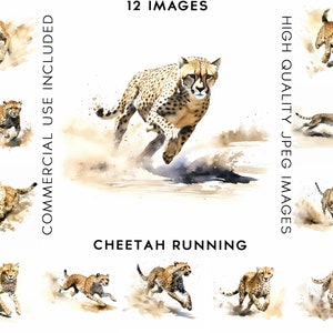 Cheetah Running Clipart, 12 High Quality JPGs , Watercolor Clipart, Clipart Animals, Card Making, Wild Animal Clipart, Feline Clipart