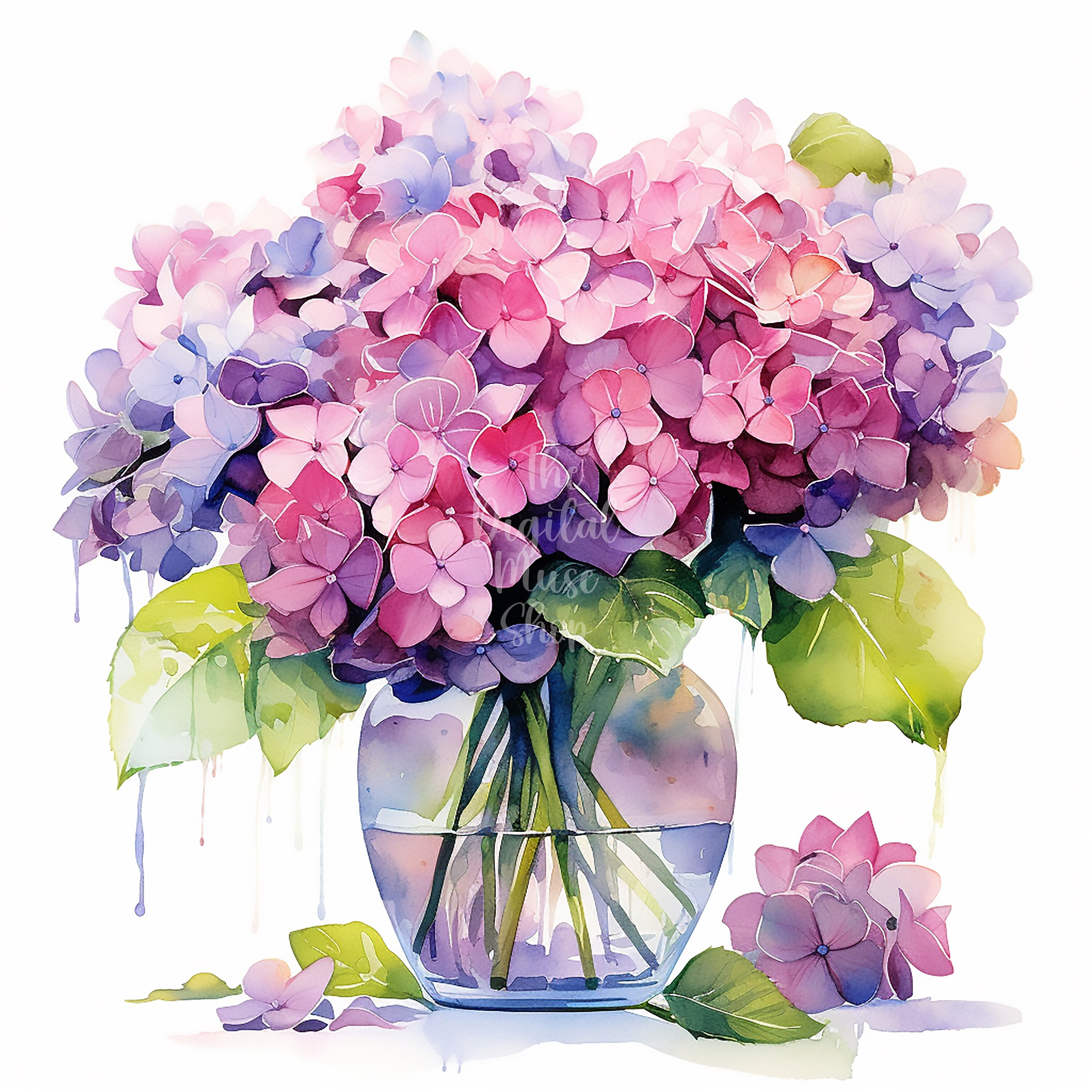 Vase of Flowers Clipart Hydrangea Macrophylla Clipart Watercolor ...