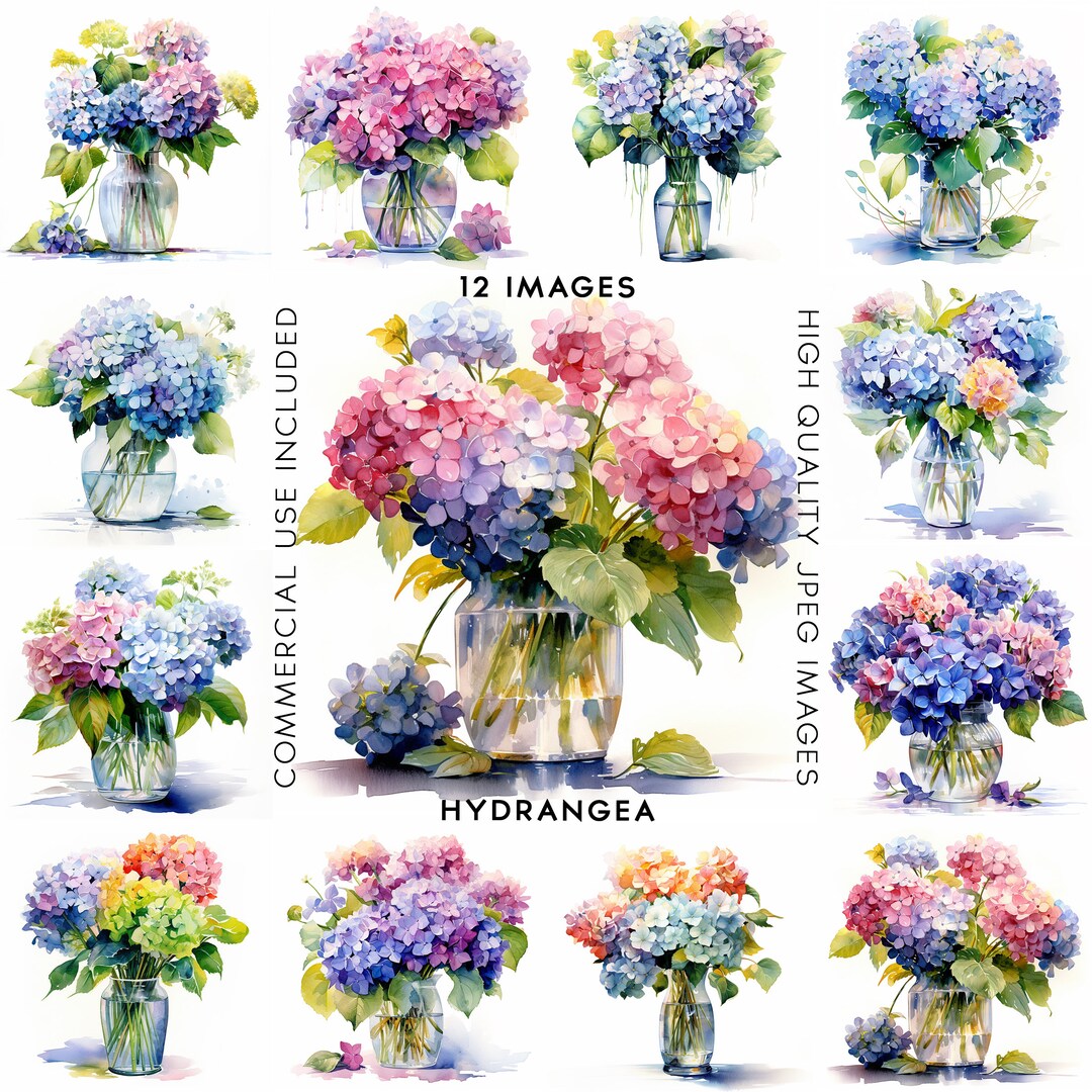 Vase of Flowers Clipart Hydrangea Macrophylla Clipart Watercolor ...