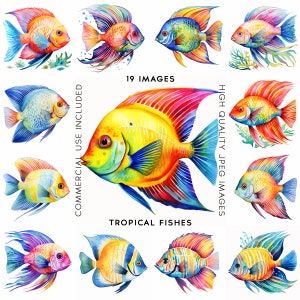 Colorful Exotic Fish Clipart Commercial Use Mixed Media,Fishing Clipart Nautical Clipart Fish Digital Download  19 JPGs