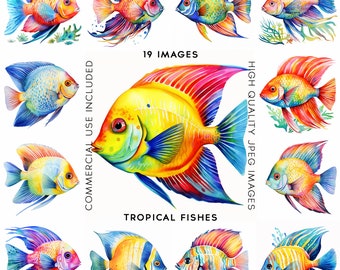 Colorful Exotic Fish Clipart Commercial Use Mixed Media,Fishing Clipart Nautical Clipart Fish Digital Download  19 JPGs