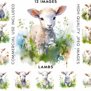 Lamb Clipart, 12 High Quality JPGs, Watercolor Clipart, Digital Crafting, Scrapbook Images, Clipart Animal, Cute Clipart, Lamb Clip Art