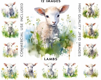 Lamb Clipart, 12 High Quality JPGs, Watercolor Clipart, Digital Crafting, Scrapbook Images, Clipart Animal, Cute Clipart, Lamb Clip Art