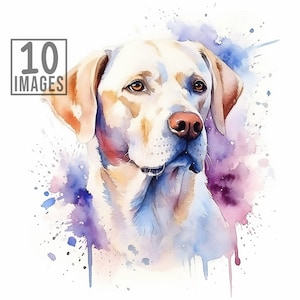 Labrador Retriever Clipart, 10 High Quality JPGs, Watercolor Clipart, Clip Art Bundle , Clip Art Watercolor, Dog Clipart, Dogs Clipart