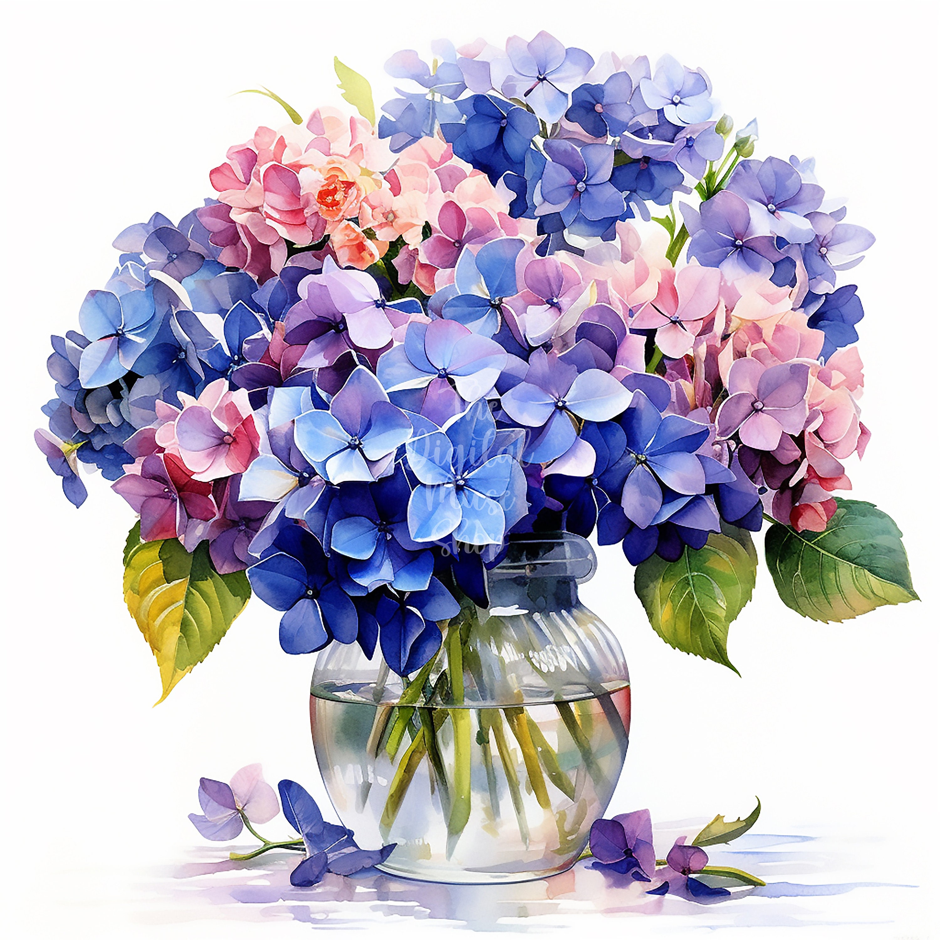 Vase of Flowers Clipart Hydrangea Macrophylla Clipart Watercolor ...