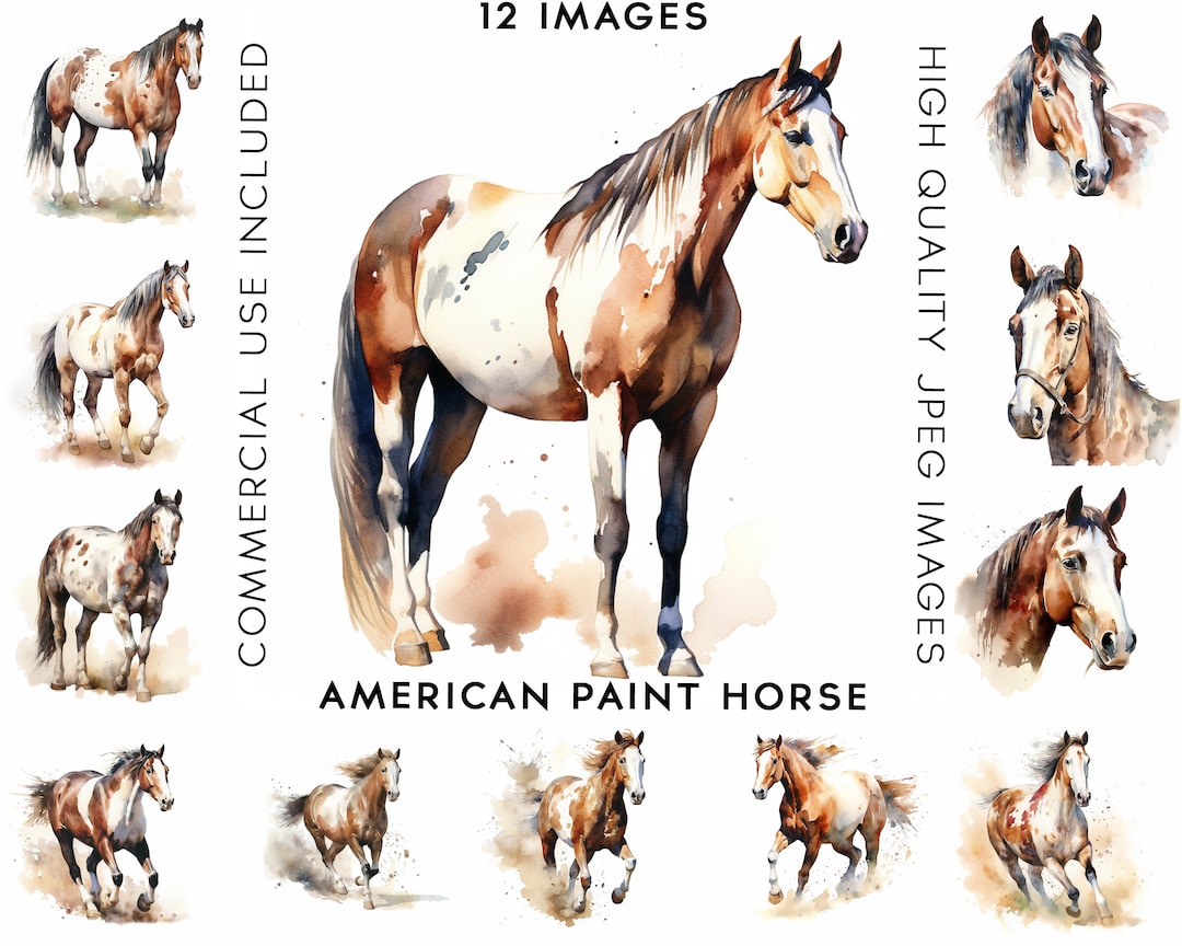American Paint Horses Clipart, 12 High Quality Jpgs , Watercolor