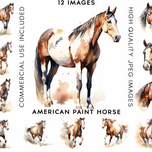 American Paint Horses Clipart, 12 High Quality JPGs , Watercolor Clipart, Clipart Pack, Clipart Set, Clipart Animals, Horse Clipart