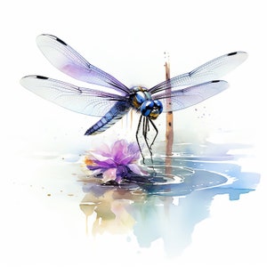 Dragonflies Clipart 13 High Quality JPGs Watercolor Clipart Dragonfly Clipart Insect Clipart Card Making Mixed Media Digital Paper Craft