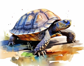 Watercolor Tortoise Clipart Digital Download Card Making Clip Art Digital Paper Craft Tortoise Artwork Wild Animals Clipart 11 JPGs
