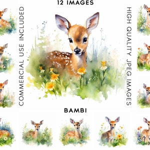 Bambi Clipart, 12 High Quality JPGs, Watercolor Clipart, Digital Crafting, Scrapbook Images, Clipart Animal, Cute Clipart, Bambi Clip Art