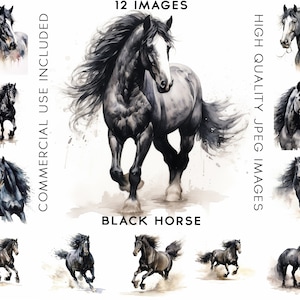 Black Horses Clipart, 12 High Quality JPGs , Watercolor Clipart, Clipart Pack, Clipart Set, Clipart Animals, Horse Clipart, Horses Clipart