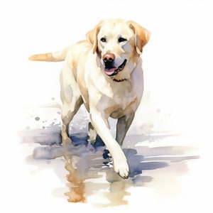 Labrador Retriever Clipart, 10 High Quality JPGs, Watercolor Clipart, Clip Art Bundle , Clip Art Watercolor, Dog Clipart, Dogs Clipart