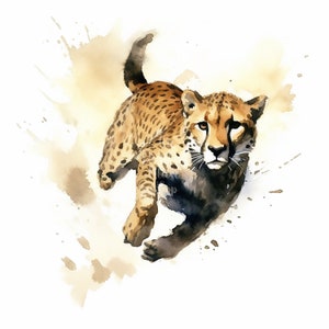 Cheetah Running Clipart, 12 High Quality Jpgs , Watercolor Clipart ...