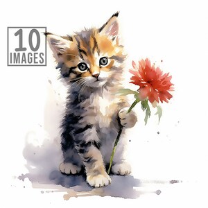 Kitten With Flowers Clipart - 10 High Quality JPGs - Watercolor Clipart -  Digital Download - Card Making - Books Clipart - Cats Clipart