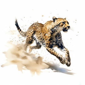 Cheetah Running Clipart, 12 High Quality Jpgs , Watercolor Clipart ...