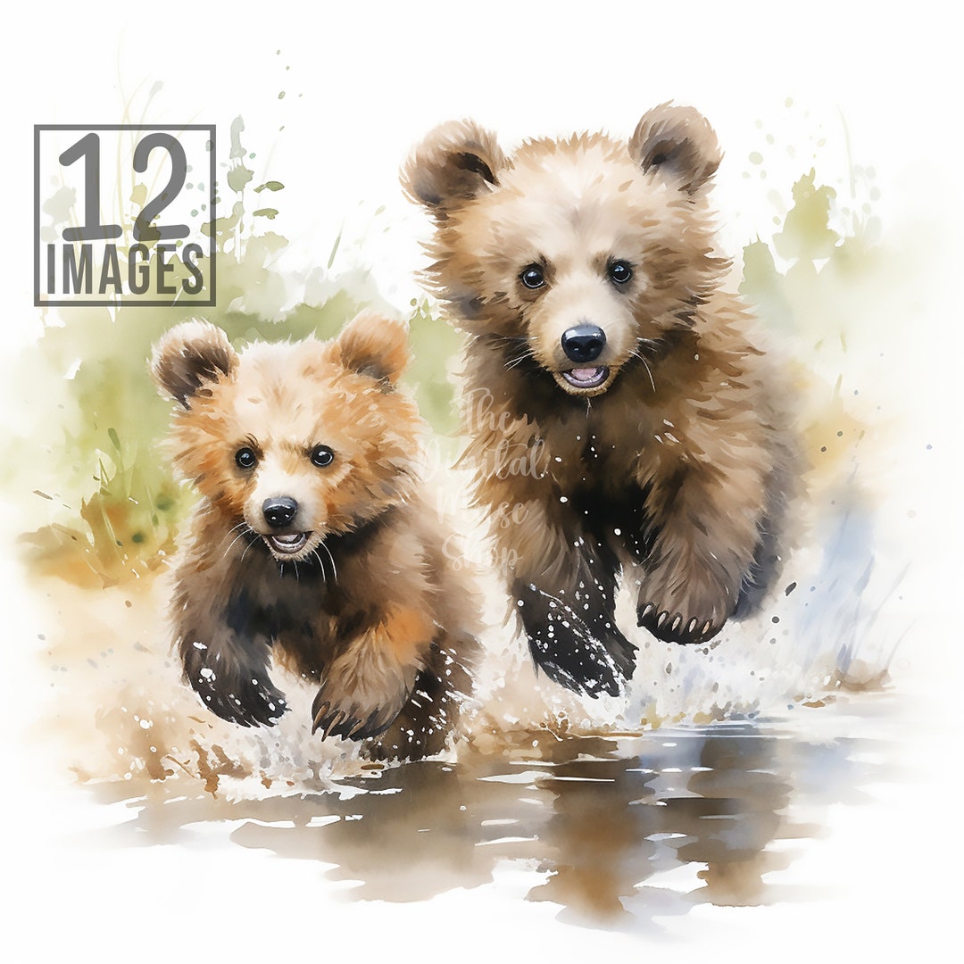 Bear Cubs Clipart Bear Clipart Digital Download Clipart Cute Bundle