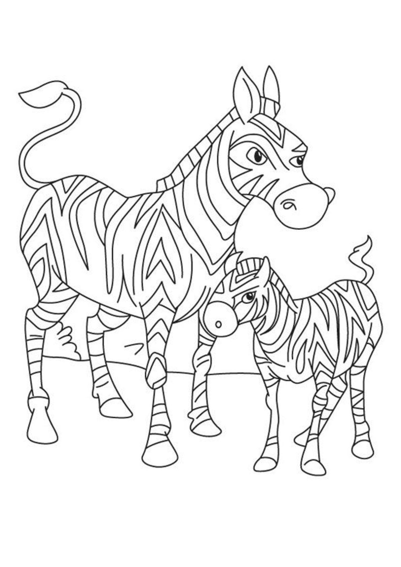 Printable Baby Zebra 4 Coloring Pages for Kids and Adults, Misticos Art ...