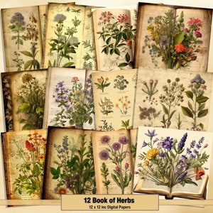 Printable Book of Herbs Digital Paper, Botanical Pages, Plant Background, Vintage Ephemera, Download Junk Journal, Scrapbooking, Card Making